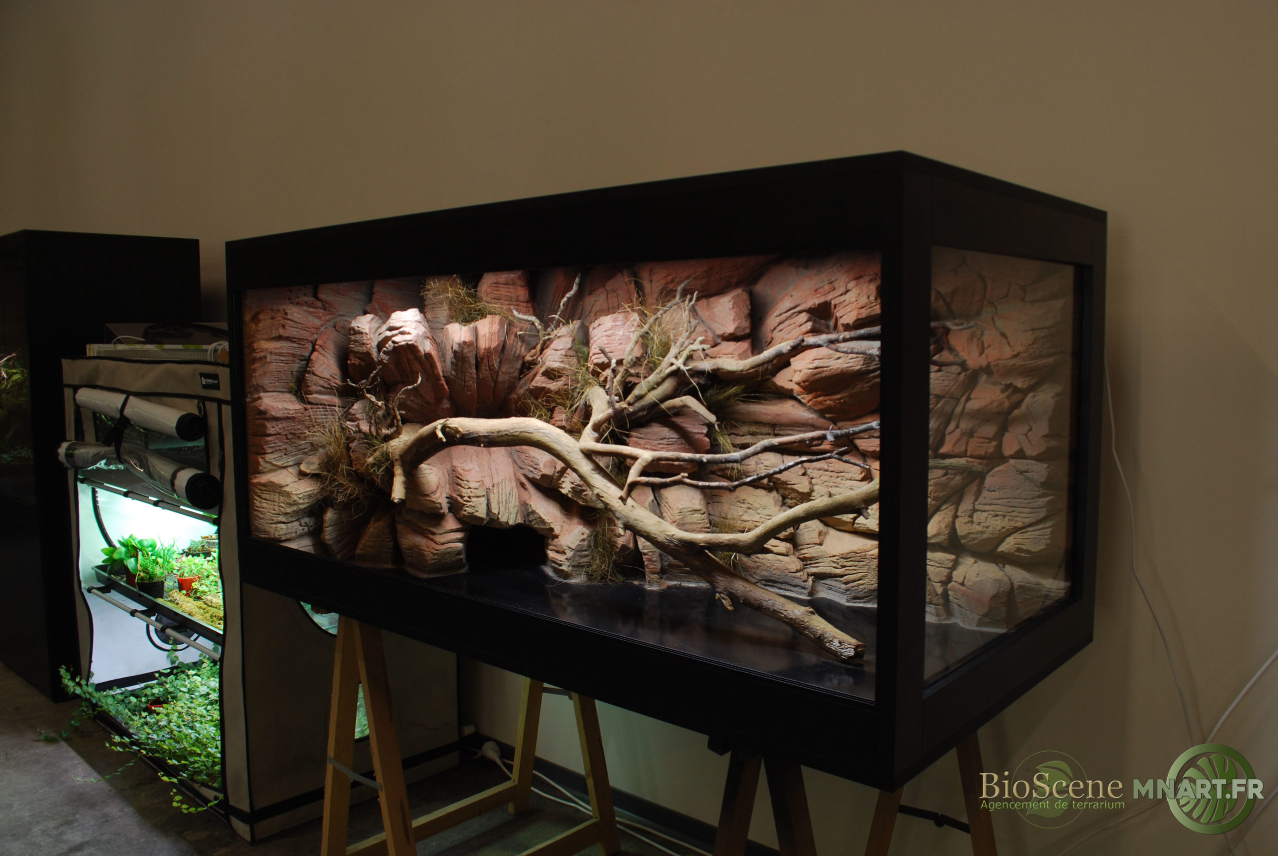 fabricant de décor, terrarium,terrarien Aquaterrarium, désertique